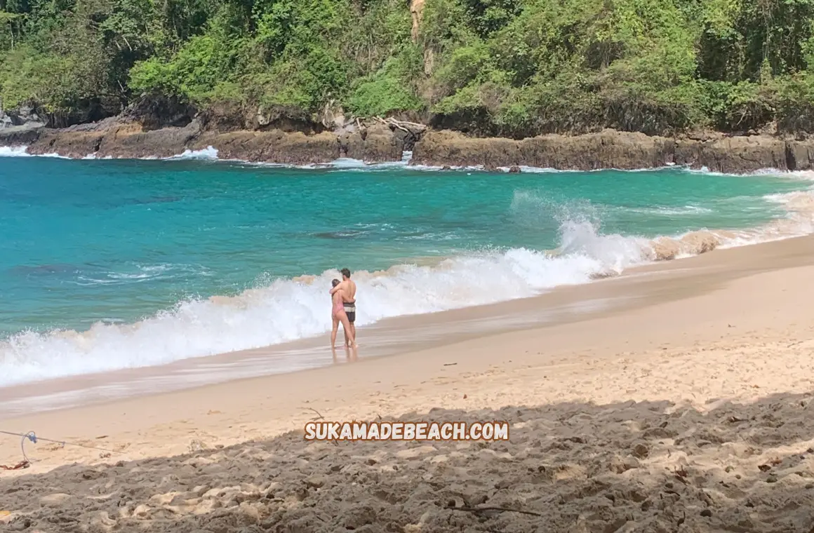 sukamade beach (5)